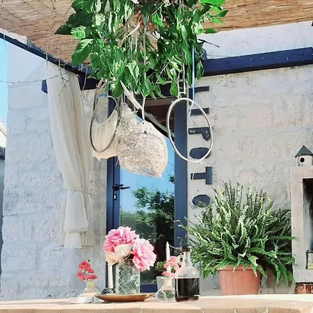 -alba * Donji Okrug (Ciovo)