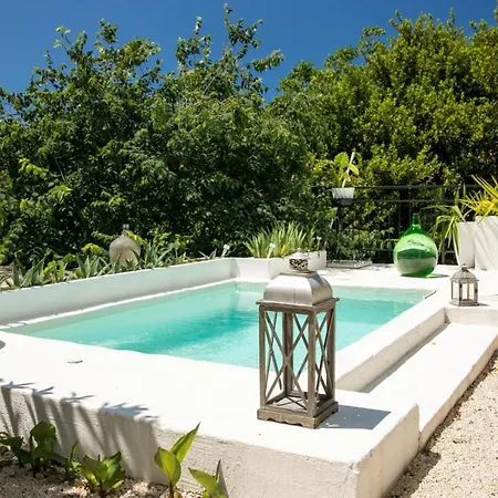 -Alba-Beautiful Private Pool Donji Okrug (Ciovo)